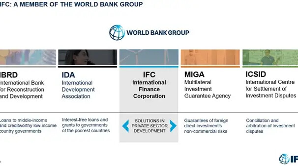 Инфографика: IFC