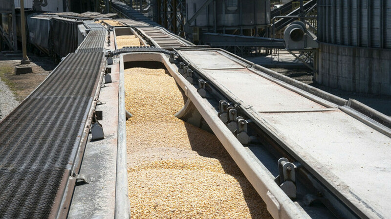 Экспорт под вопросом: зерновики опасаются ограничений транзита через Россию